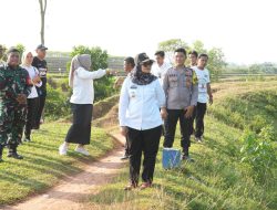 Bupati Lamtim Turun Tangan, Konflik Gajah dan Warga Segera Berakhir