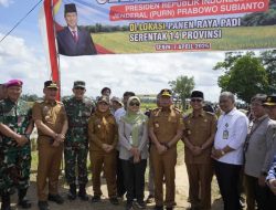 Lampung Siap Jadi Lumbung Pangan: 2.347 Ton Gabah Dipanen di Adipuro