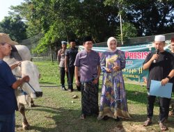 Wujud Kepedulian Sosial, Polres Lampung Timur Bagikan Daging Kurban ke Masyarakat Sekitar