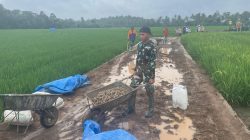 Rabat Beton TMMD ke-127: Ketika Keringat Menjadi Jalan Masa Depan