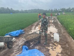 Rabat Beton TMMD ke-127: Ketika Keringat Menjadi Jalan Masa Depan